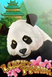 Lucky Panda